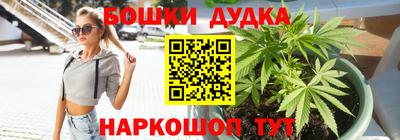 шишки Моздок