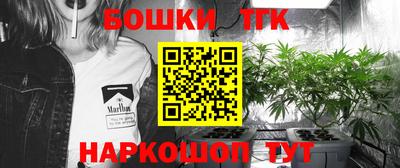 шишки Моздок