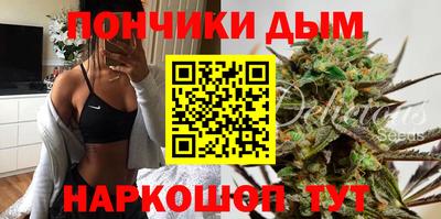 шишки Моздок