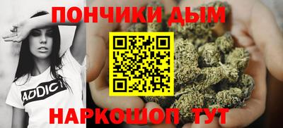 шишки Моздок
