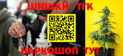дживик Можга